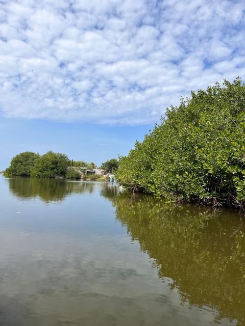Cartagena Native Fishing Through The Mangroves - Detailed Tour Description