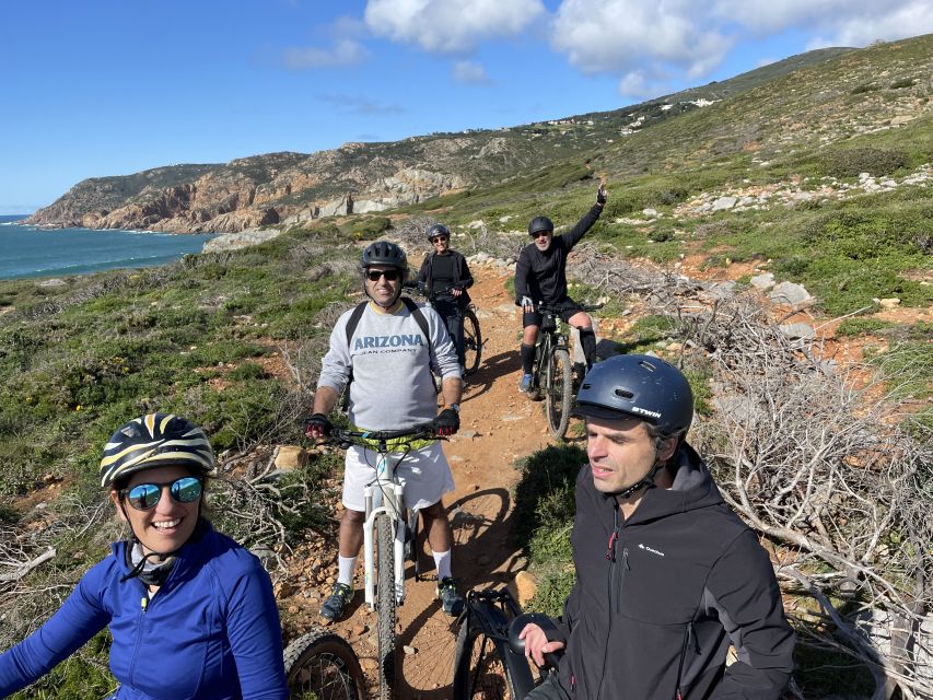 Cascais-Sintra E-bike Tour: Coast & Countryside Adventure - Bike Specifications