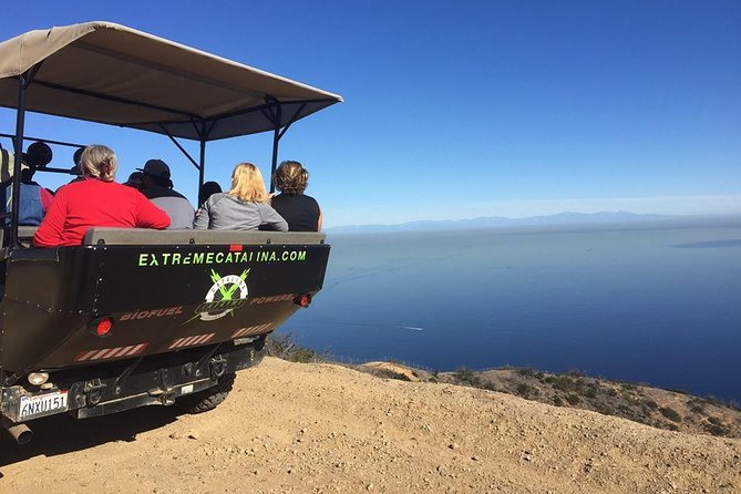 Catalina Island Bison Expedition - Customer Reviews and Ratings