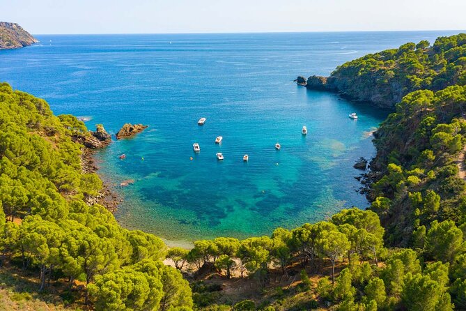 Catamaran to Cap Norfeu & Joncols With Super Submarine Vision - Morning and Afternoon Tour Options
