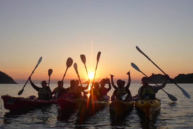 Cathedral Cove Kayak Tour - Booking Process