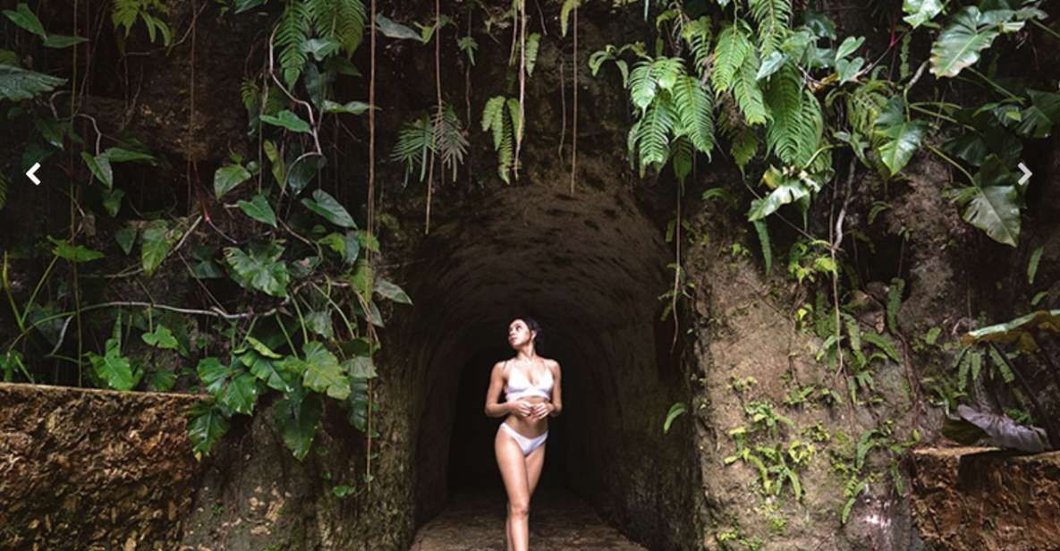 Cenote Tsukan - Pich Healing Tree Embrace