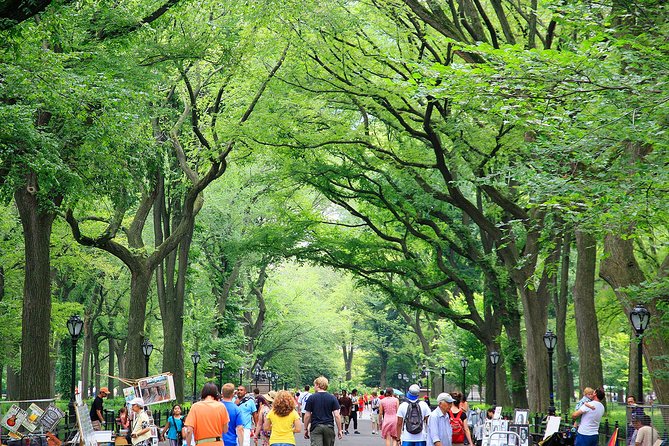 Central Park Photography Tour With Local Photographer - Meeting and Accessibility Details