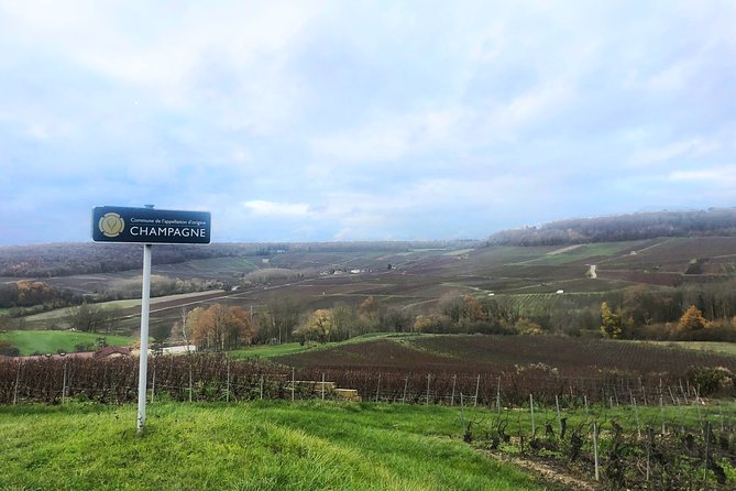 Champagne Area Small-Group Tour Including a Top Champagne House & Family Winery - Customer Feedback and Ratings