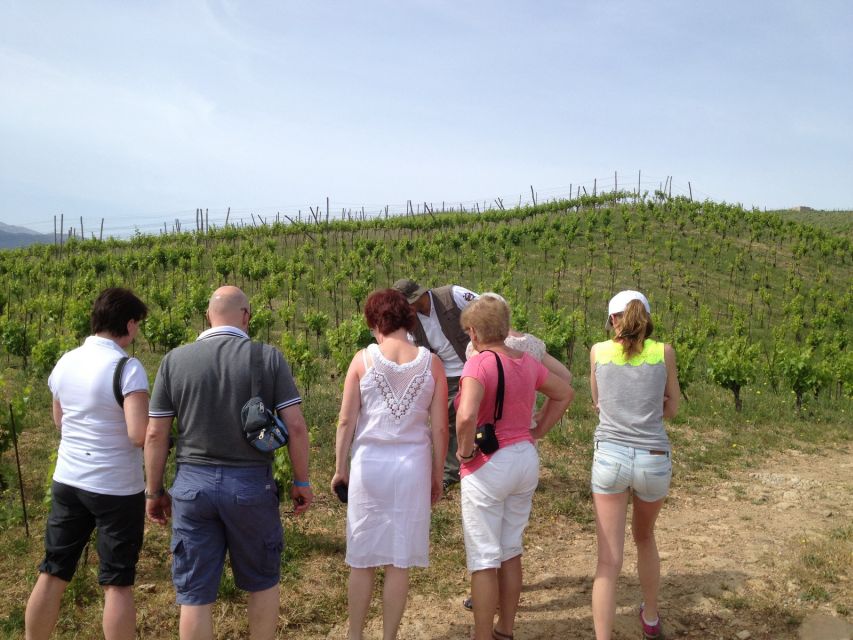 Chania Premium Sunset Safari Tour - Experience Details