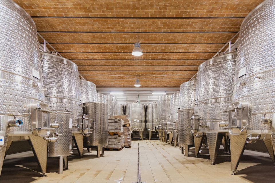 Chianciano Terme: Private Guided Winery Tour & Wine Tasting - Wine Tasting Selection