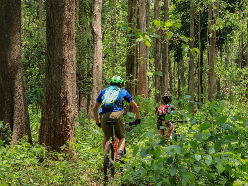 Chiang Mai: Boat Ride and Cycling Tour to Sticky Waterfall - Boat Cruise Experience