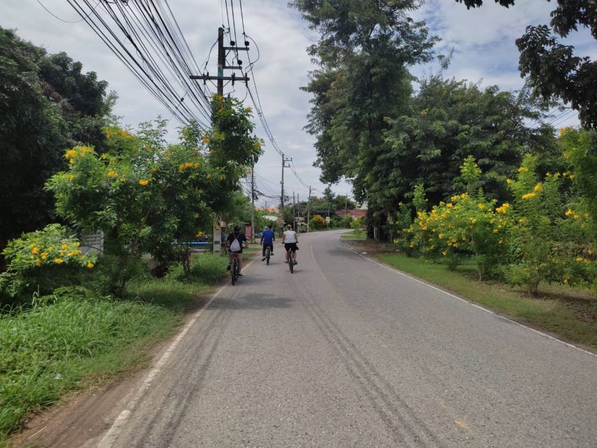 Chiang Mai: Full-Day Guided Bike & Regional Culture Tour - Sustainable Agricultural Encounter