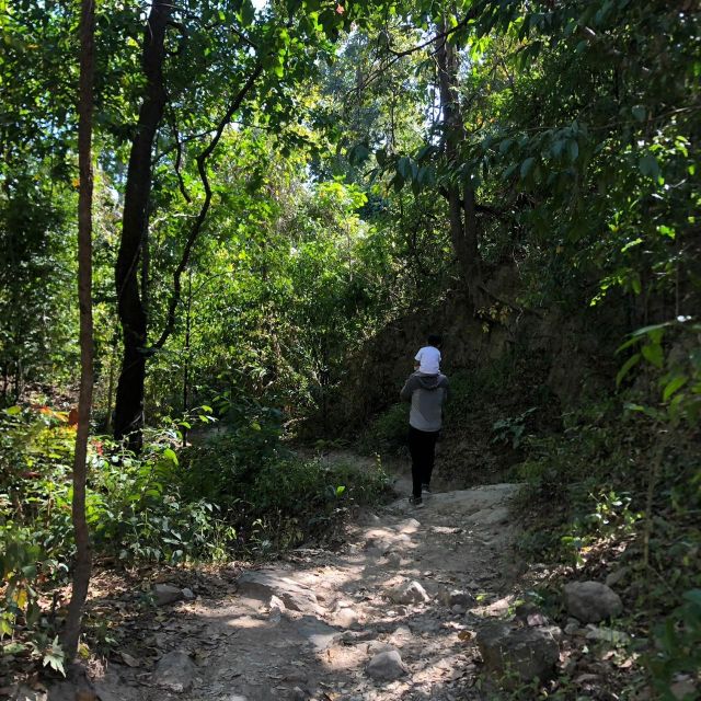 Chiang Mai Monks Trail Wat Pha Lat & Visit Wat Doi Suthep - Wat Pha Lat Exploration