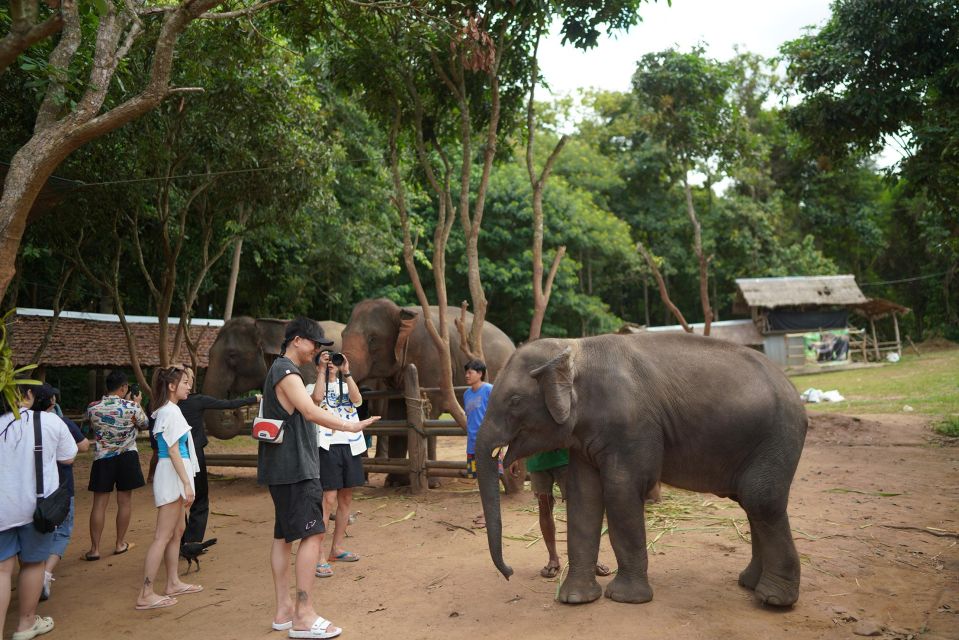 Chiang Mai: National Elephant Care, Rafting, & Ziplines Trip - Elephant Encounter