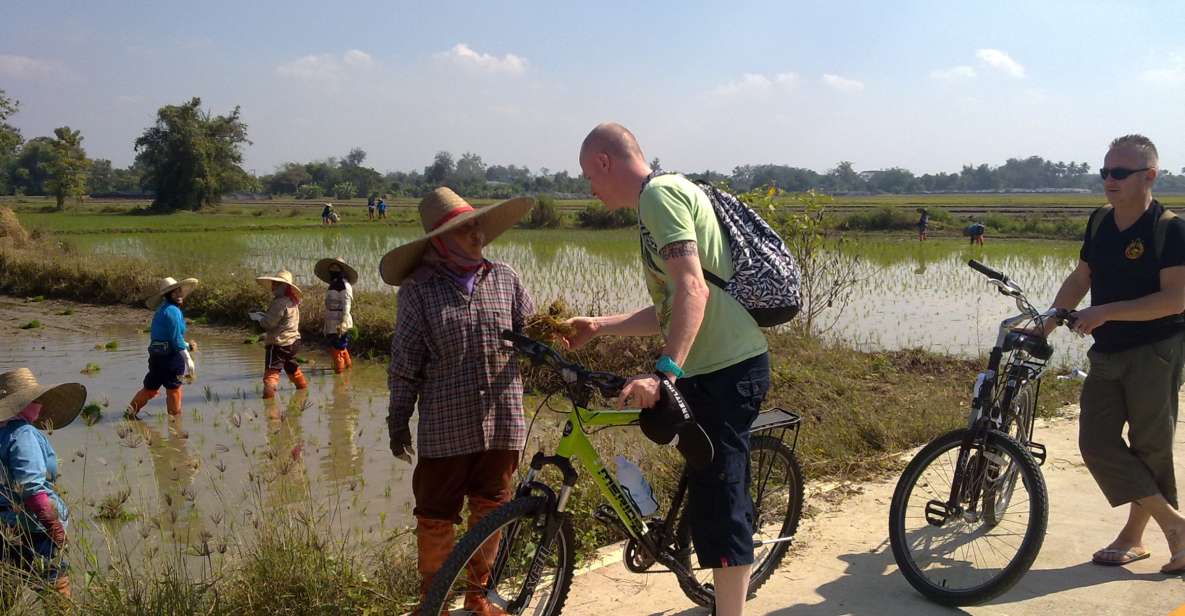 Chiang Mai Paradise Full Day Bicycle Tour - Inclusions and Pricing