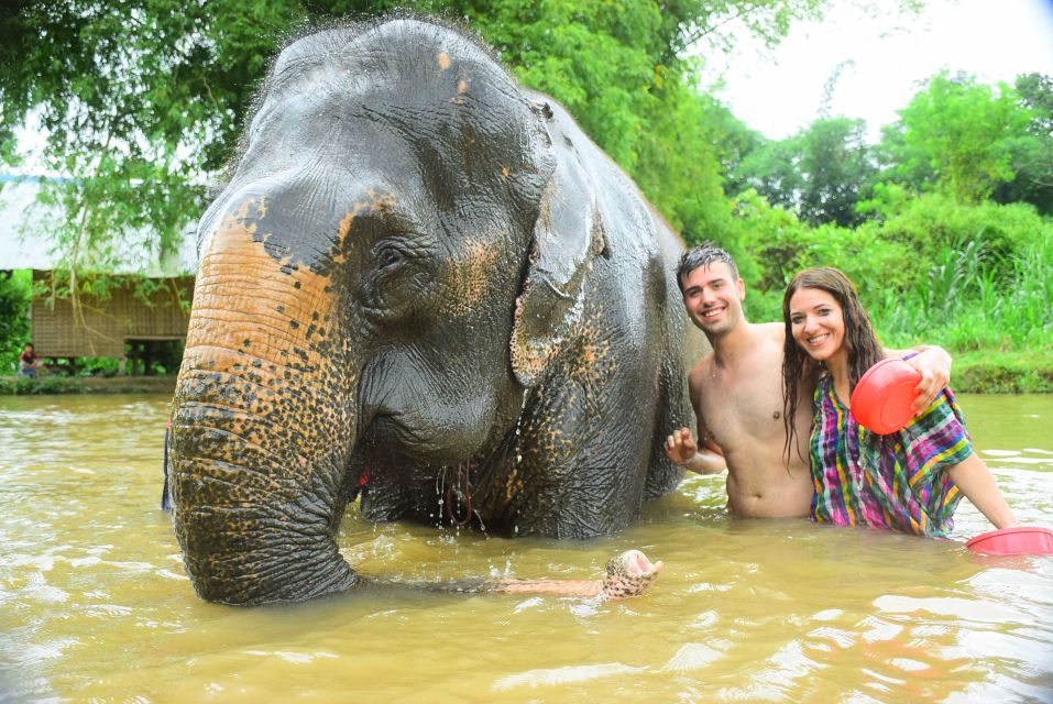 Chiang Mai: Private Elephant Care Experience for Couples - Elephant Feeding and Bathing