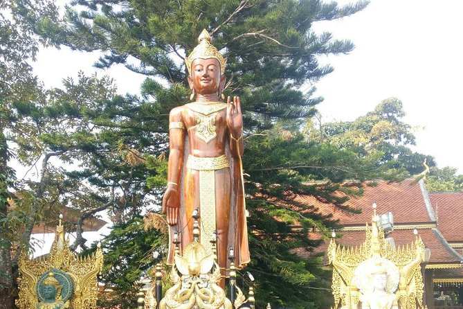 Chiang Mai Private Tour With Tea Plantation, Karen Village, Doi Suthep - Booking Process