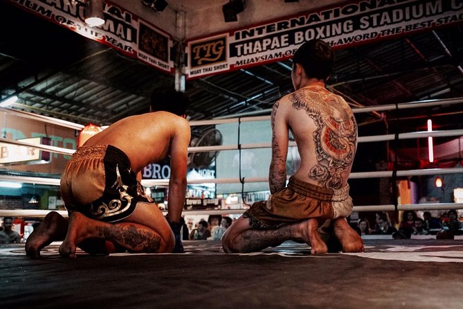 Chiang Mai Thapae Muay Thai Boxing Stadium Ticket - Reviews and Ratings