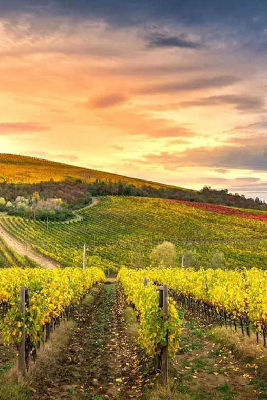 Chianti Helicopter Flight Tour - Experience Highlights