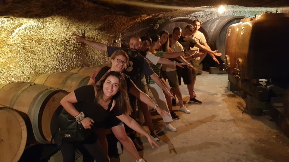 Chinon: Bicycle Tour of Saumur Wineries With Picnic Lunch - Inclusions and Features