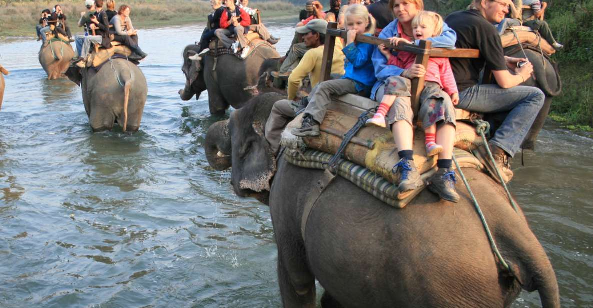 Chitwan Jungle Safari Tour: 3-Day Chitwan National Park Tour - Chitwan National Park Highlights