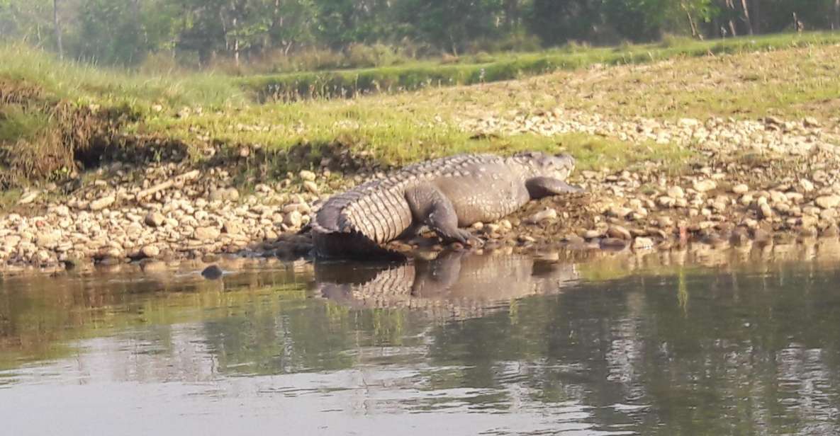 Chitwan National Park Safari - Safari Itinerary Highlights