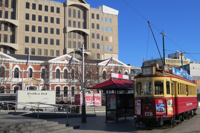 Christchurch - City, Beaches, Port & More by Tesla -6hrs - Tour Experience Highlights