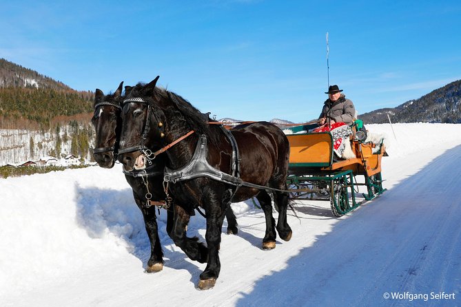Christmas Horse-Drawn Sleigh Ride From Salzburg - Boarding the Horse-Drawn Sleigh