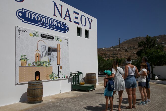 Citron Tasting and Distillery 1-Hour Guided Tour in Naxos - Guest Reviews and Feedback