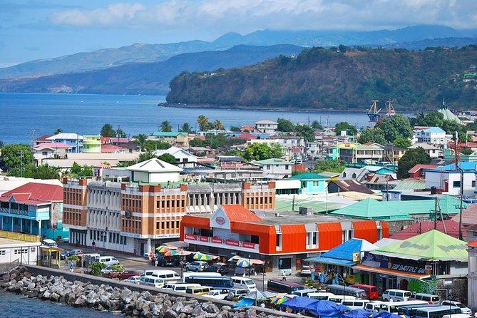 City Tour With Botanical Gardens, Trafalgar Falls & Morne Bruce - Traveler Experience