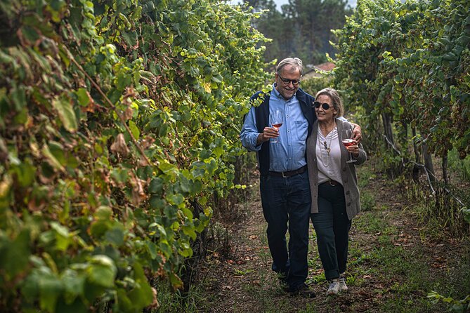 Classic Tasting | Quinta De Santa Cristina Vinho Verde - Accessibility Features