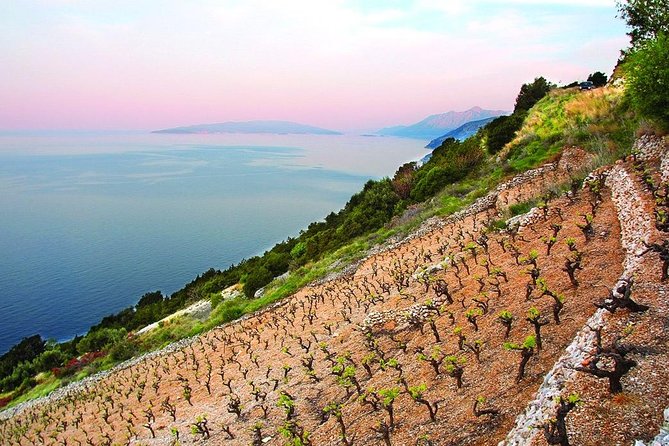 Classic Tour With Wine Tastings From Dubrovnik - Wine Tasting Experiences