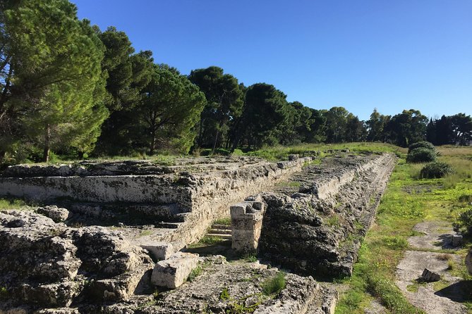 Classical Syracuse - Half Day Guided Tour - Inclusions and Accessibility