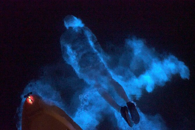 Clear Kayak Bioluminescence Tour - Tips for a Great Experience