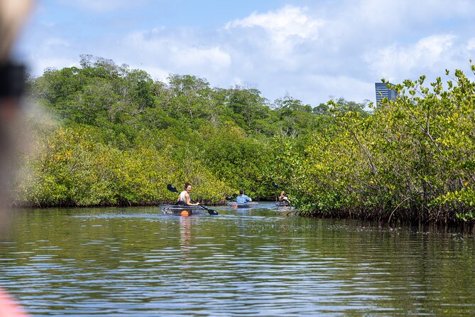 Clear Kayak Tour in North Miami Beach - Mangrove Tunnels - Meeting and Pickup Details