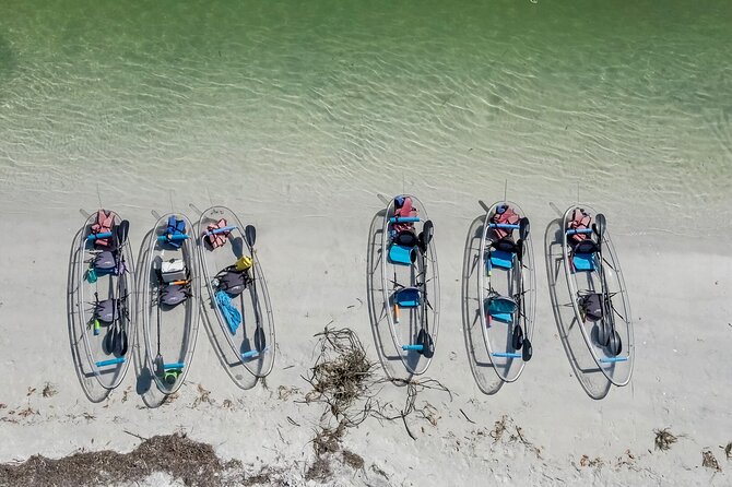 Clear Kayak Tour of Shell Key Preserve and Tampa Bay Area - What To Expect