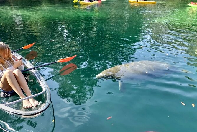 Clear Kayak Tours in Weeki Wachee - Safety Guidelines and Requirements