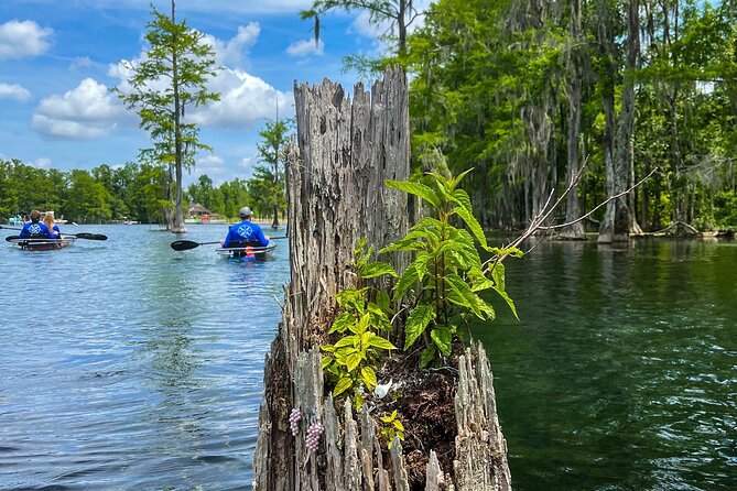 Clear Kayaking Eco Adventure Tour in Marianna - Safety and Accessibility