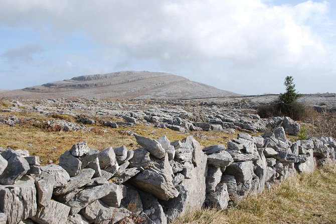 Cliffs of Moher Day Tour From Cork: Including the Wild Altanic Way - Exploring Limerick