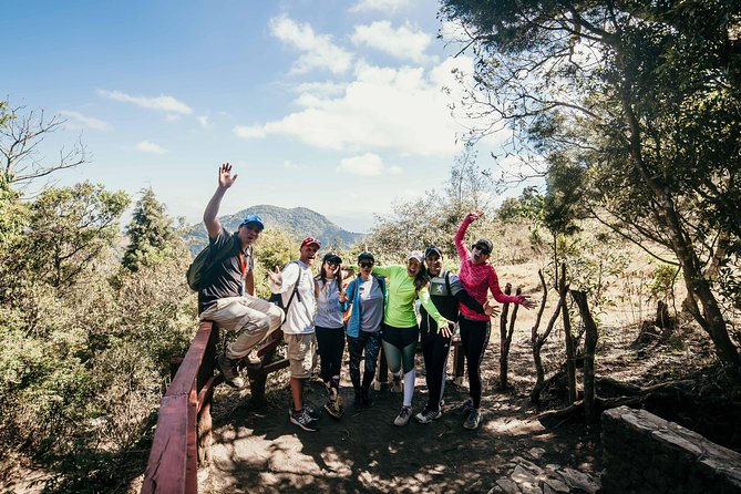 Climb Active Pacaya Volcano + Box Lunch at the Top - Shared Tour - Guest Reviews and Ratings