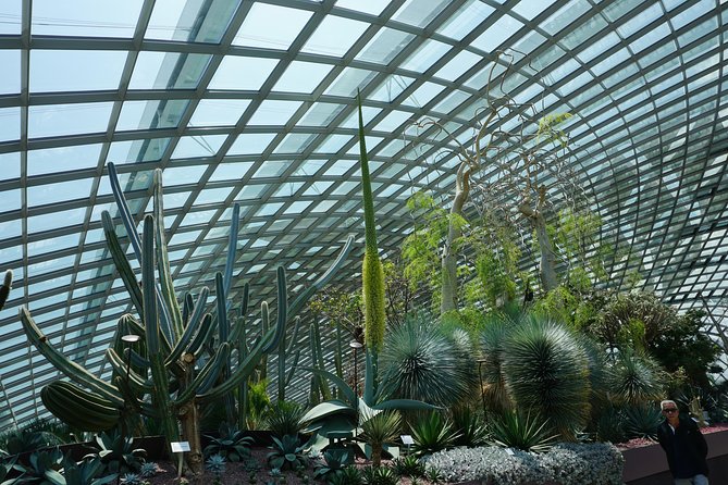 Cloud Forest + Supertree Observatory - Getting to the Attraction