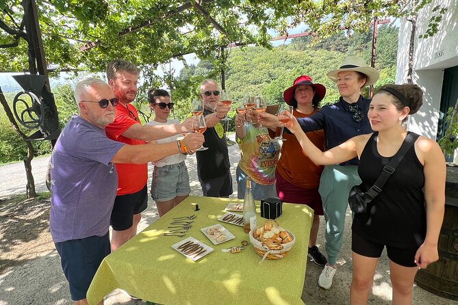 Coastal Winery Camino Trail Walking Tour From San Sebastian - Health and Accessibility Information