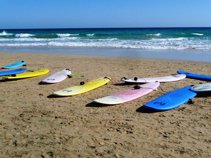 Cocoa Beach: Surfboard Rental - Surfing Experiences Awaiting You