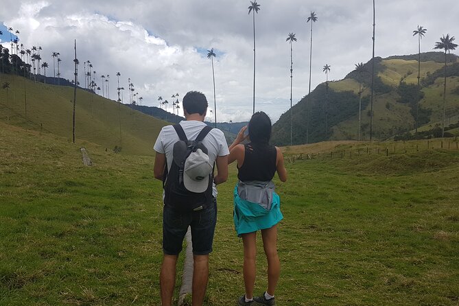 Cocora, Salento and Filandia (The Daughter of the Andes) Walking Tour in Quindio - Pricing Information