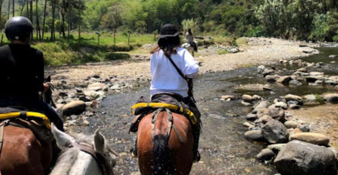 Cocora Valley: Salento & Private Horseback Riding Tour - Detailed Itinerary