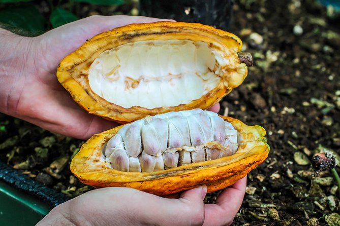 Coffee and Chocolate Regular Tour - Booking Process and Information