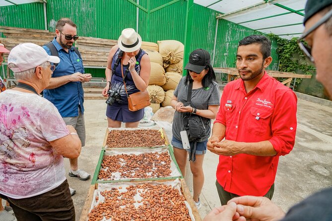 Coffee, Chocolate & Sugar Cane Tour (Regular) - Tastings Offered