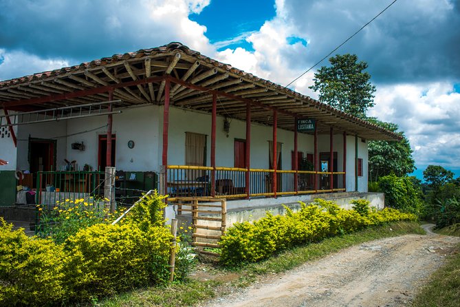 Coffee Tour. - Accessibility and Participation Guidelines