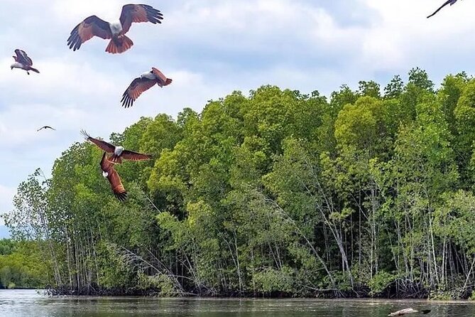 Combo - Cable Car & Sky Bridge And Tg. Rhu Mangrove Private Boat Tour With Lunch - What to Expect