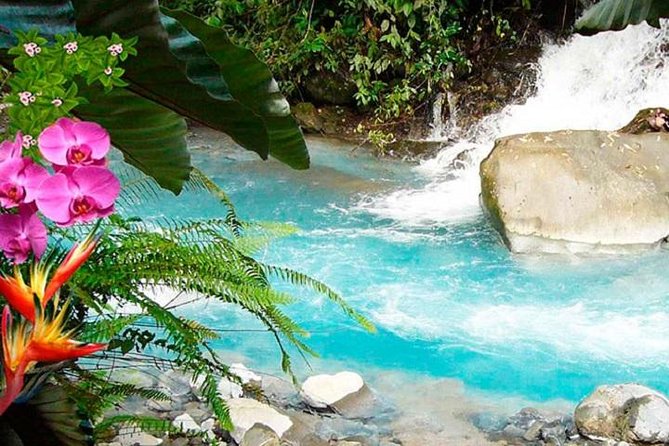 Combo Tour Blue River, Botanical Garden, Hot Springs, and Dino Park - Recommendations for Participants