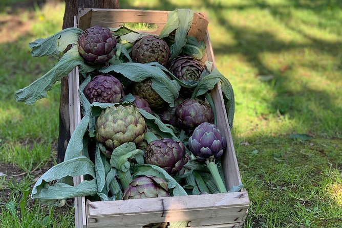 Cook and Eat in the Citrus Grove in Sorrento - Meeting and Pickup Information