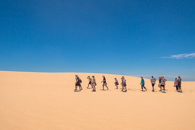 Coorong 6-Hour Adventure Cruise - Departure and Meeting Details