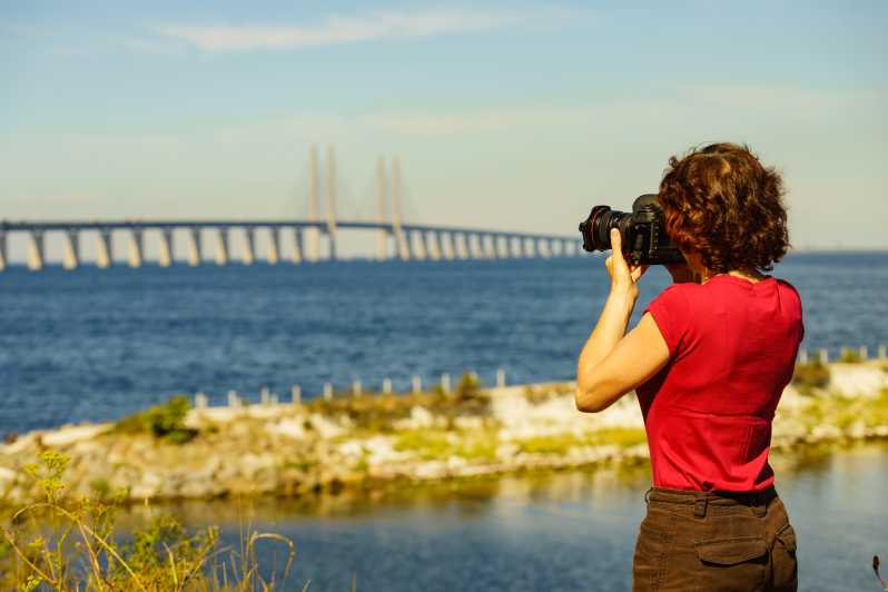 Copenhagen: Full-Day Trip to Malmö With Swedish Lunch - Culinary Experience