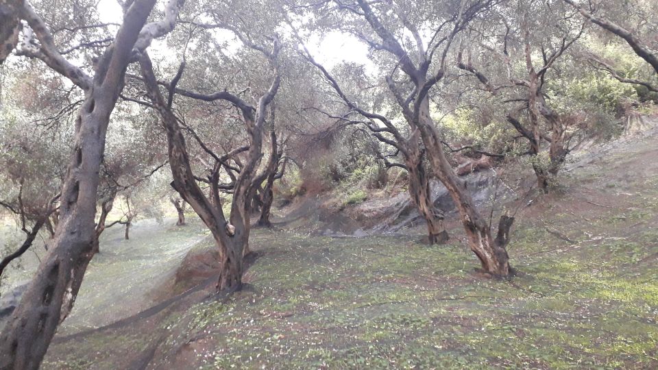 Corfu: Pelekas - Sinarades Villages Private Tour - Inclusions and Amenities